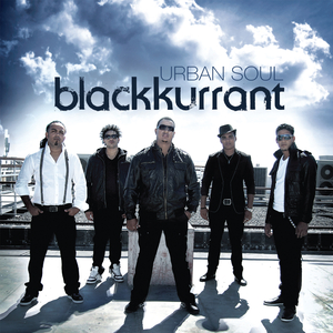 人人摸人人舔人人插
