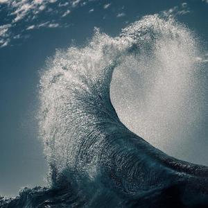 人人摸人人舔人人插
